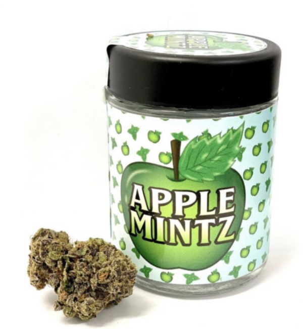 Apple Mintz