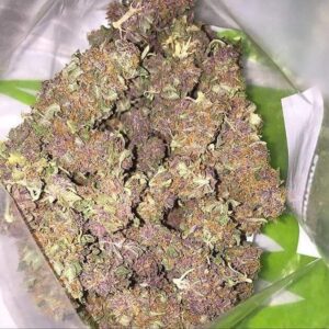 Buy purple haze strain Online