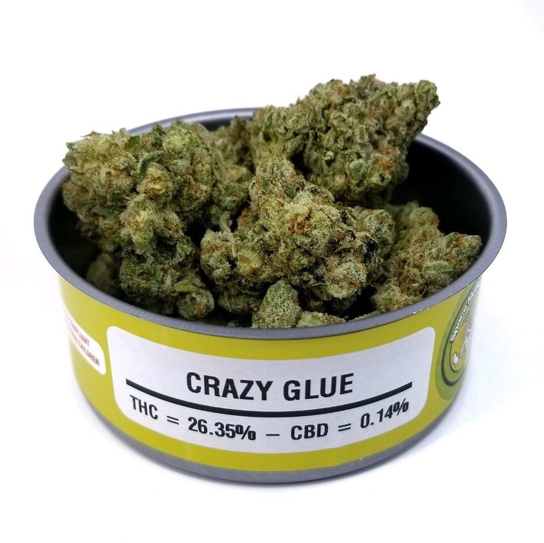 Crazy Glue strain